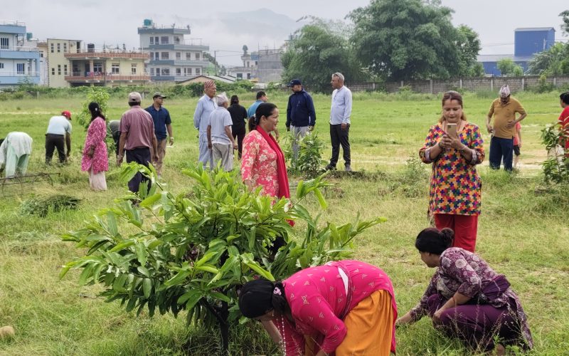 हेटौँडा-८ मा सप्ताहव्यापी अभियान अन्तर्गत चन्द्रोदय मावि परिसरमा बृहत् सरसफाइ कार्यक्रम सम्पन्न